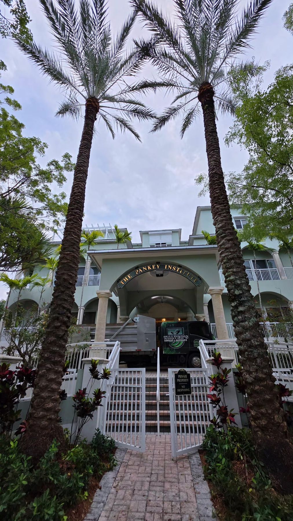 Two tall date palms framing the gated entrance of a commercial building, with Walter's truck out front