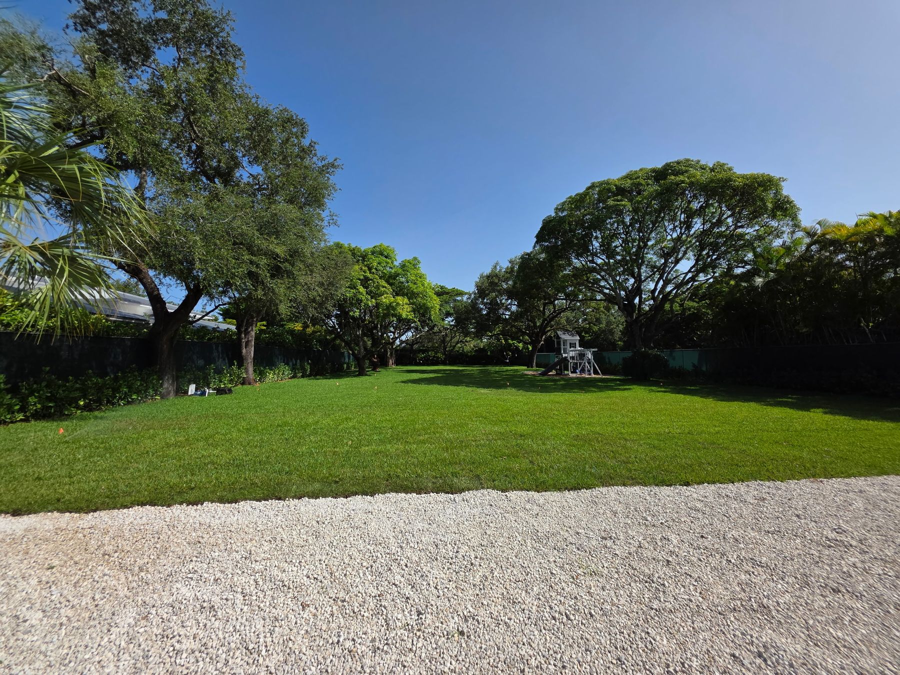 A large backyard lawn, freshly sodded and cut, with a gravel drive in front