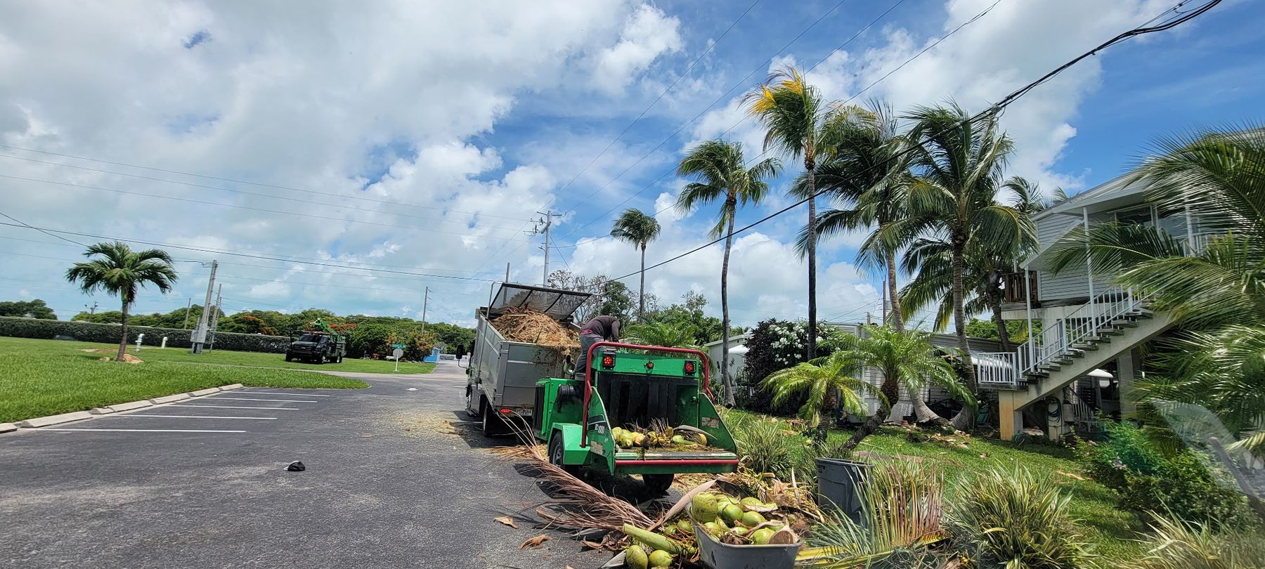 Crew chipping palm fronds and coconuts at a property in the Keys