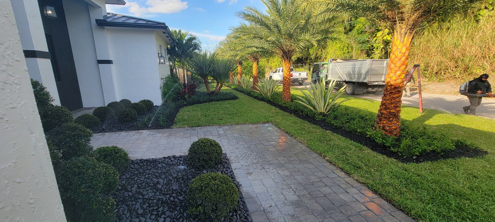 Front walkway with date palms, boxwood spheres, black river rock and fresh sod
